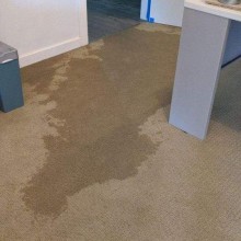 sewer2 sewer backup problems